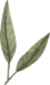 image 233